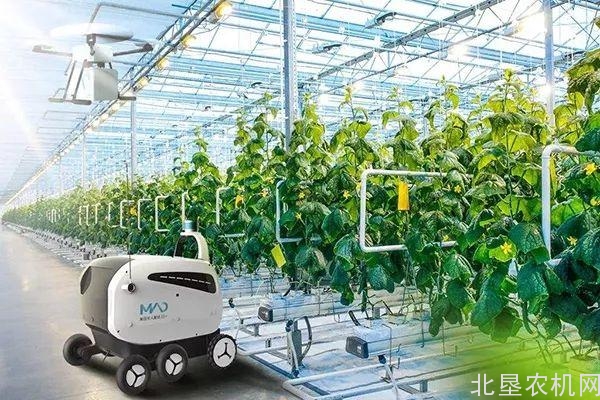 新农业是未来趋势！但做新农业找死，不做新农业等死