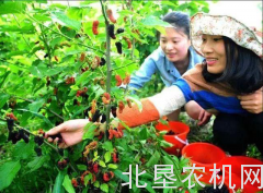 什么叫休闲农业？有不少新农人还没有真正弄明白