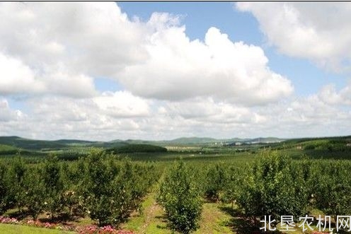 新农机网调查：让农机大户十分头疼的四个糟烂事