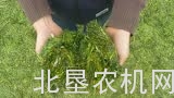 斯特劳曼CFS捡拾拖车