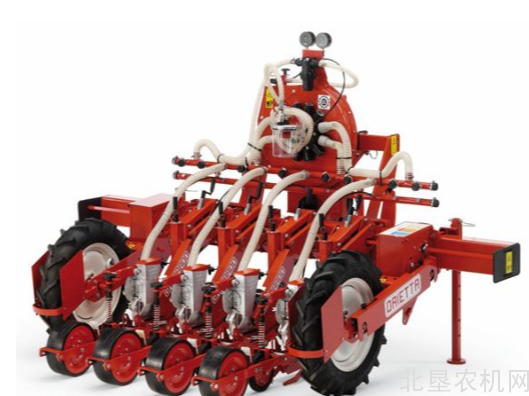 意大利马斯奇奥参加武汉市2019年露地蔬菜生产机械化现场演示会