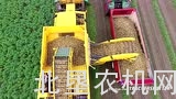 驾驶室可以移动的马铃薯收获机械