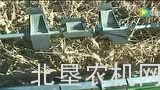 国外倒伏玉米机械化收割作业，我们参考一下吧