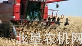 倒伏玉米机械化收割视频