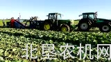 阿萨利公司TK1000型卷心菜收获机