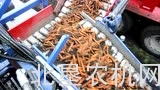 阿萨利公司CR/SP/CM系列胡萝卜收获机械