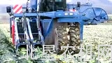 阿萨利公司自走式甘蓝收获机