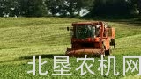 布光青玉米及青刀豆收获机