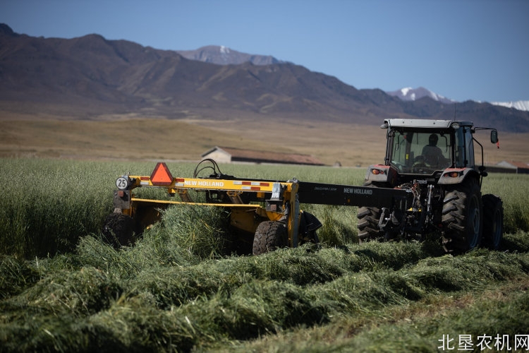 喜迎祖国华诞|全新纽荷兰割草压扁机亮相张掖