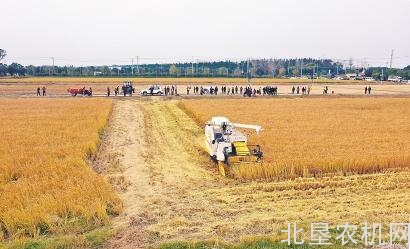 外地农机开进来 种粮农工喜欢迎 荆头山农场收割太湖糯“有机可寻”