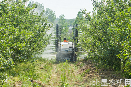 李子柒的后院看看就行了，现代果园还得靠它们打理！