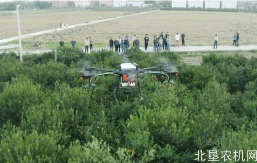 推广农机农技：她的团队深耕 15 年 让农户亲眼看效果