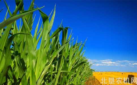为美好而来，新空港孔雀城，廊坊市三县荣获“全国第四批主要 农作物全程机械化示范县”称号