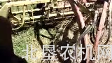 麦考密克用搂草机搂麦草