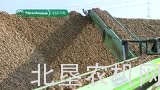 麦迪玛马铃薯输送机械