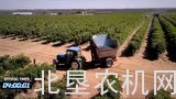 现代机械化葡萄收获机