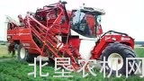西蒙（SIMON ）自走胡萝卜收获机