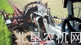 2台迪沃夫RA3060型自走胡萝卜收获机同时作业