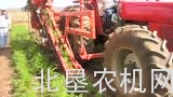 迪沃夫P3B型具有储料斗功能的牵引式胡萝卜收获机
