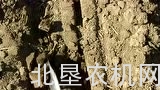 大平原公司25行播种机调整和设置