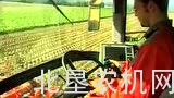 荷马公司Terra Dos T3自走甜菜收获机