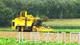 罗霸euro-Tiger V8-4 XL 甜菜收获机