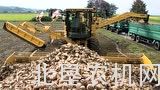 罗霸Maus3甜菜去土转运机