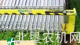 Hortech公司FW蔬菜收获机