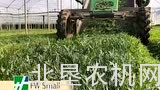Hortech公司FW SMALL小型蔬菜收获机