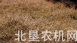 麦克唐D1和FD1割台介绍