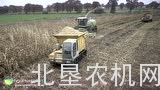 克拉斯Jaguar收获青贮作业视频