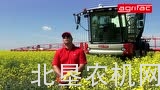 Agrifac自走式喷药机在立陶宛的情况