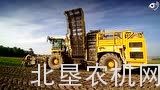 罗霸甜菜收获机