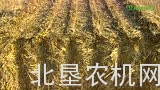 科罗尼big pack大方捆打包机