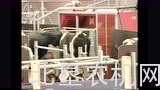 莱利智能化畜牧设备