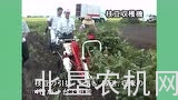 洋马HE10A毛豆收获机