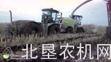 克拉斯Jaguar青贮机配合斯太尔拖拉机收获青贮