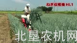 洋马HL1手扶式大葱收获机
