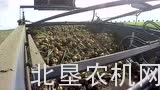 阿萨利WR180洋葱起收机