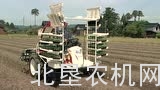 洋马自走式蔬菜移栽机