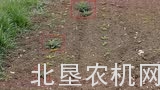 Agrifac精准精量喷药机