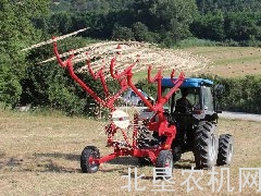 伊诺罗斯CADDY系列指轮式搂草机