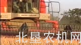 麦赛福格森早期40收割机作业