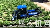 纽荷兰Guard9000葡萄收获机械