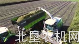 克拉斯CARGOS青贮接斗车