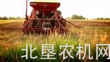 马斯奇奥ALITALIA系列条播机介绍