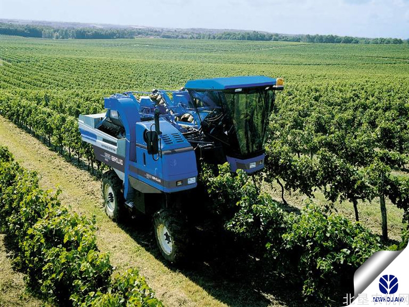 纽荷兰Braud 8030L葡萄收获机