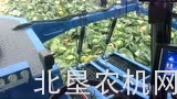 阿萨利SP260B自走式蔬菜收获机