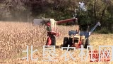 约翰迪尔6600玉米收获机