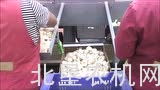 艾普荷工业——大蒜清理流水线